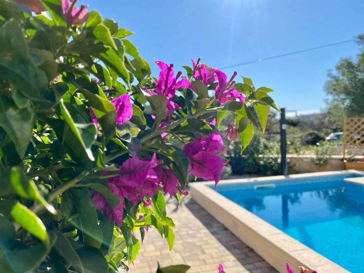 Villa Island Vir With Pool Dış mekan fotoğraf