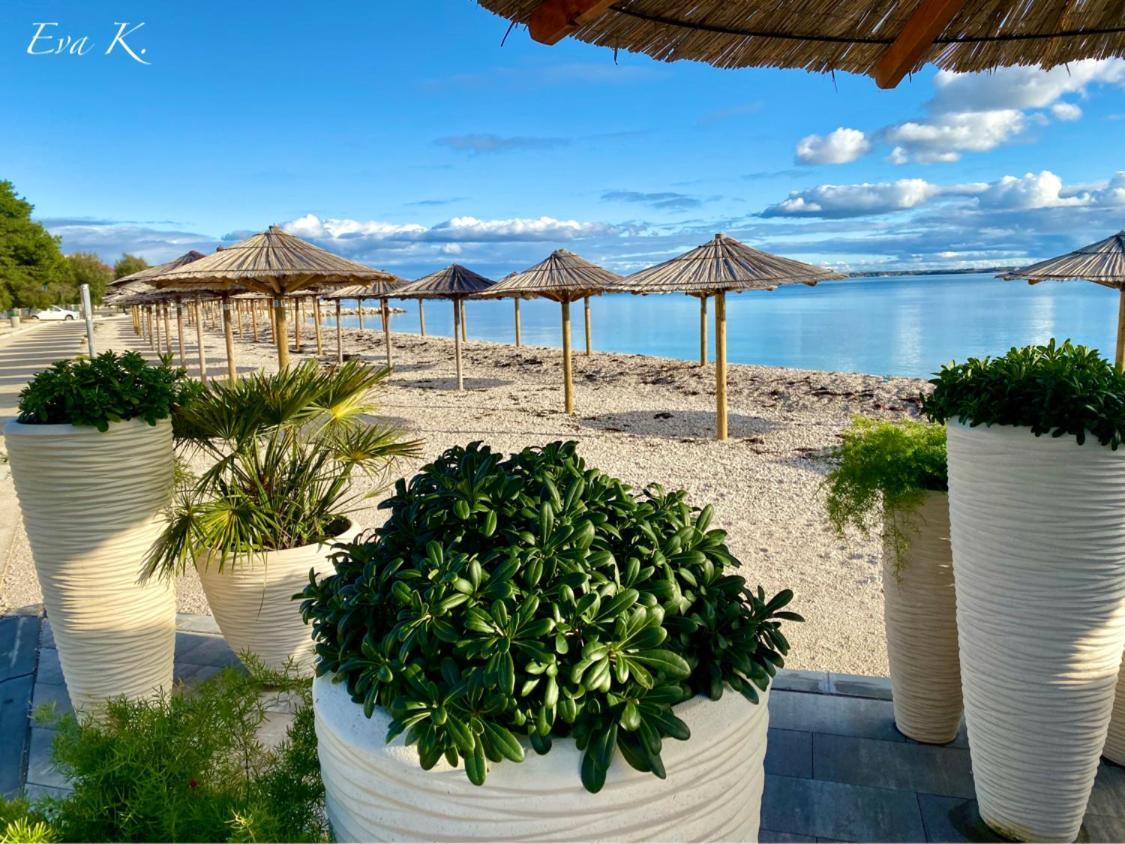 Villa Island Vir With Pool Dış mekan fotoğraf
